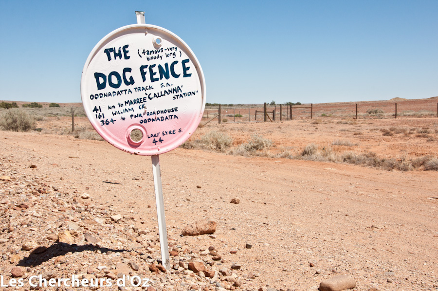 TheDogFence