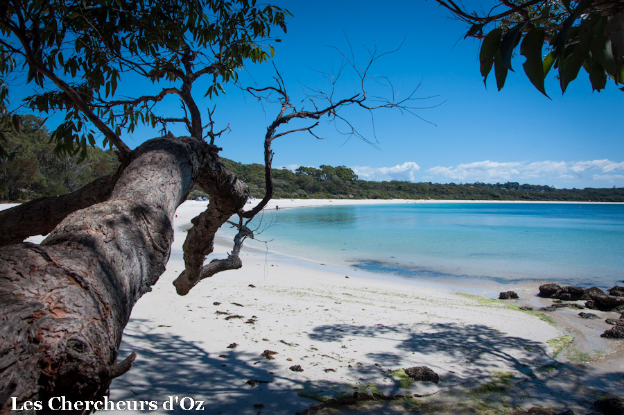 Jervis bay-001