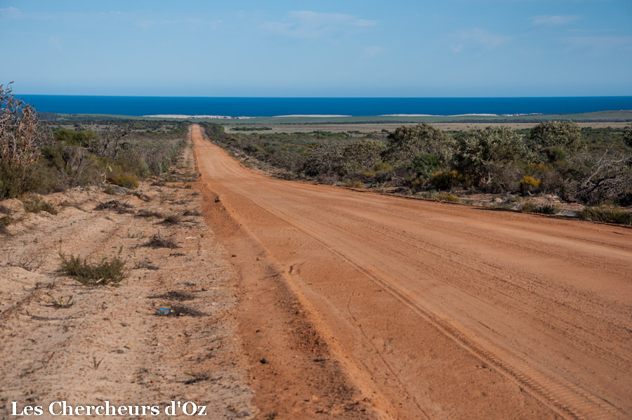 Lesueur National Park-036